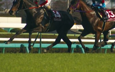 競馬 競艇場の 婚活 恋活ビジネス 恋活ビューティーニュース