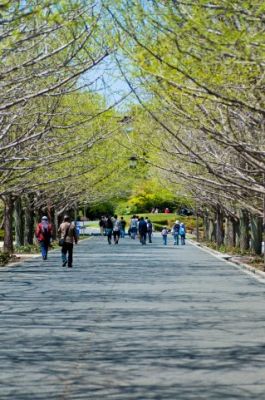岐阜県指定天然記念物
