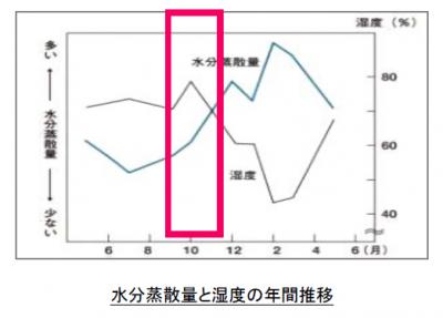 資生堂