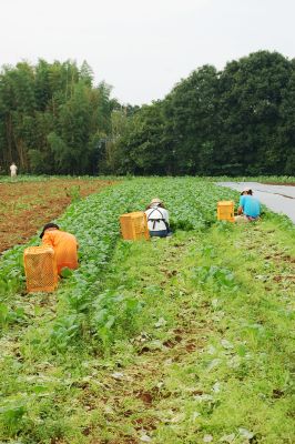 埼玉県農林公社