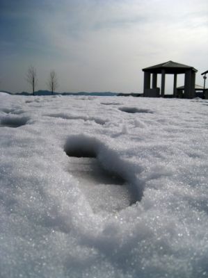 雪恋まつり