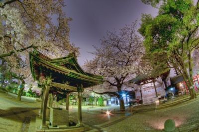 安楽寺