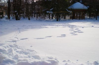山形県庄内町観光協会